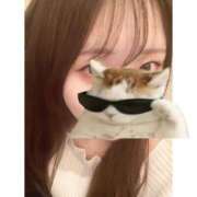 ヒメ日記 2025/04/11 18:17 投稿 笠原もも 五反田はじめてのエステ