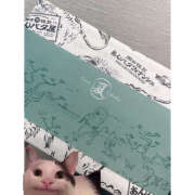 ヒメ日記 2025/06/19 16:10 投稿 笠原もも 五反田はじめてのエステ