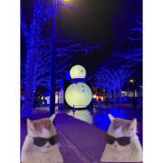 ヒメ日記 2025/12/17 11:46 投稿 笠原もも 五反田はじめてのエステ