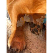 ヒメ日記 2026/01/13 11:12 投稿 笠原もも 五反田はじめてのエステ