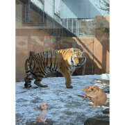 ヒメ日記 2026/02/05 16:20 投稿 笠原もも 五反田はじめてのエステ