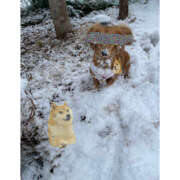 ヒメ日記 2026/02/09 16:16 投稿 笠原もも 五反田はじめてのエステ