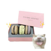 ヒメ日記 2026/04/06 14:22 投稿 笠原もも 五反田はじめてのエステ