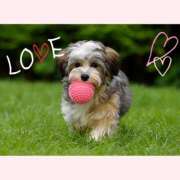 ヒメ日記 2024/12/08 16:44 投稿 ひかり 奥さま未来　立川店