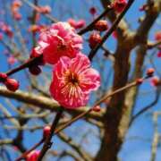 ヒメ日記 2025/02/15 08:29 投稿 ひかり 奥さま未来　立川店