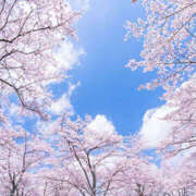 ヒメ日記 2025/04/14 15:05 投稿 ひかり 奥さま未来　立川店