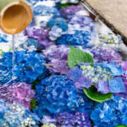 ヒメ日記 2025/05/28 08:45 投稿 ひかり 奥さま未来　立川店