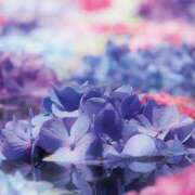 ヒメ日記 2025/06/08 09:59 投稿 ひかり 奥さま未来　立川店