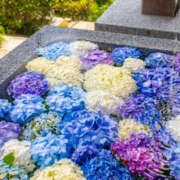 ヒメ日記 2025/06/14 10:02 投稿 ひかり 奥さま未来　立川店