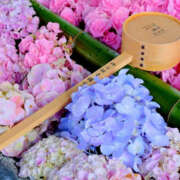 ヒメ日記 2025/06/16 08:32 投稿 ひかり 奥さま未来　立川店