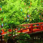 ヒメ日記 2025/07/07 15:52 投稿 ひかり 奥さま未来　立川店