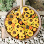 ヒメ日記 2025/08/17 10:51 投稿 ひかり 奥さま未来　立川店