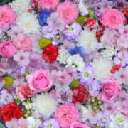 ヒメ日記 2025/08/29 09:57 投稿 ひかり 奥さま未来　立川店