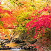 ヒメ日記 2025/09/23 08:10 投稿 ひかり 奥さま未来　立川店