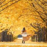 ヒメ日記 2025/11/27 09:12 投稿 ひかり 奥さま未来　立川店