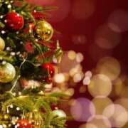 ヒメ日記 2025/12/24 08:45 投稿 ひかり 奥さま未来　立川店