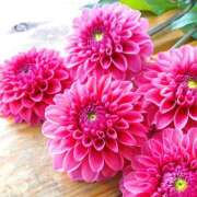 ヒメ日記 2026/02/18 21:43 投稿 ひかり 奥さま未来　立川店