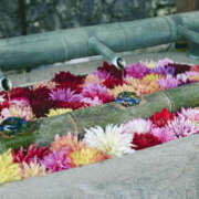 ヒメ日記 2026/03/05 07:35 投稿 ひかり 奥さま未来　立川店