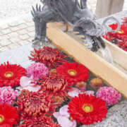 ヒメ日記 2026/03/06 07:35 投稿 ひかり 奥さま未来　立川店