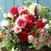 ヒメ日記 2026/03/16 16:06 投稿 ひかり 奥さま未来　立川店