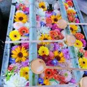 ヒメ日記 2026/04/01 12:00 投稿 ひかり 奥さま未来　立川店