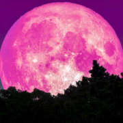 ヒメ日記 2026/04/02 09:07 投稿 ひかり 奥さま未来　立川店