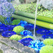 ヒメ日記 2026/04/22 09:56 投稿 ひかり 奥さま未来　立川店