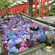 ヒメ日記 2026/08/17 08:31 投稿 ひかり 奥さま未来　立川店