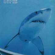 ヒメ日記 2025/04/20 15:21 投稿 らん 桜フェアリーテイル