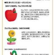 ヒメ日記 2025/06/14 18:09 投稿 らん 桜フェアリーテイル