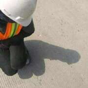 ヒメ日記 2025/06/25 18:07 投稿 らん 桜フェアリーテイル