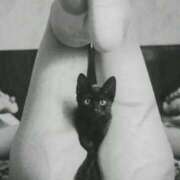 ヒメ日記 2025/07/03 18:47 投稿 らん 桜フェアリーテイル