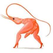 ヒメ日記 2025/07/11 18:09 投稿 らん 桜フェアリーテイル