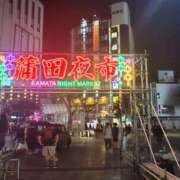 ヒメ日記 2025/08/08 18:59 投稿 らん 桜フェアリーテイル