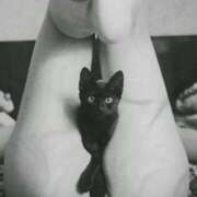 ヒメ日記 2025/08/13 19:15 投稿 らん 桜フェアリーテイル