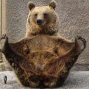 ヒメ日記 2025/08/20 18:13 投稿 らん 桜フェアリーテイル