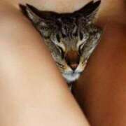 ヒメ日記 2025/09/04 18:15 投稿 らん 桜フェアリーテイル