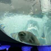 ヒメ日記 2024/12/22 11:55 投稿 吉岡 美和 超LEXUS