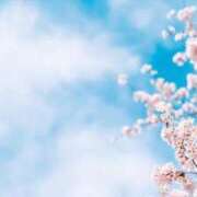 ヒメ日記 2025/03/12 17:02 投稿 吉岡 美和 超LEXUS