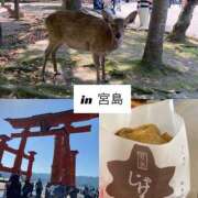 ヒメ日記 2025/05/02 15:21 投稿 吉岡 美和 超LEXUS