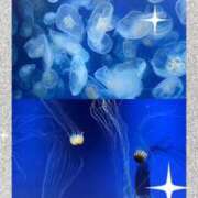 ヒメ日記 2025/07/30 15:21 投稿 吉岡 美和 超LEXUS