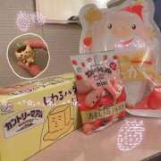 ヒメ日記 2025/11/12 15:41 投稿 吉岡 美和 超LEXUS