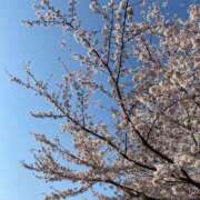 ヒメ日記 2026/04/01 15:51 投稿 吉岡 美和 超LEXUS