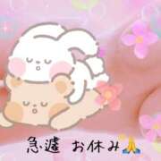 ヒメ日記 2025/06/17 15:16 投稿 西村真理子 五十路マダム 郡山店