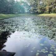 ヒメ日記 2025/06/22 09:24 投稿 西村真理子 五十路マダム 郡山店