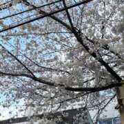 ヒメ日記 2025/04/05 09:02 投稿 萌川　のぞみ アムアージュ