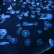 ヒメ日記 2025/07/22 09:02 投稿 萌川　のぞみ アムアージュ