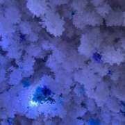 ヒメ日記 2025/10/01 15:22 投稿 萌川　のぞみ アムアージュ