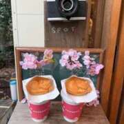 ヒメ日記 2026/04/02 17:42 投稿 萌川　のぞみ アムアージュ