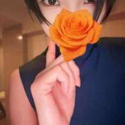 ヒメ日記 2025/08/24 08:47 投稿 ななお ベイキュート